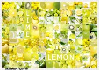XL wallpaper Lemon 4 x 2,67 Meter (150g Vlies)