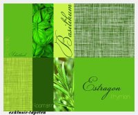 XL wallpaper Herbage 4 x 2,67 Meter (150g Vlies)