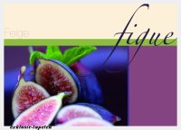 XL wallpaper Fig 4 x 2,67 Meter (150g Vlies)