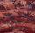 JV 451 Yumiko Dis Sagimai Digitaldruck auf Gras