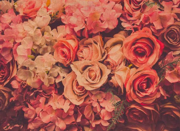 Fototapete 3,5 x 2,55 M. Flower Wall