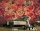 Fototapete 3,5 x 2,55 M. Flower Wall