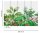 Fototapete 3,5 x 2,55 M. Tropical Wall 1