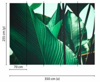 Fototapete 3,5 x 2,55 M. Leaf Stalks 1