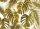 Fototapete 3,5 x 2,55 M. Palm Leaves 2