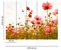 Fototapete 3,5 x 2,55 M. Flower Meadow 1