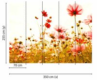 Fototapete 3,5 x 2,55 M. Flower Meadow 2