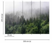 Fototapete 3,5 x 2,55 M. Foggy Fir Trees