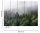 Fototapete 3,5 x 2,55 M. Foggy Fir Trees