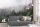 Fototapete 3,5 x 2,55 M. Foggy Fir Trees