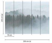 Fototapete 3,5 x 2,55 M. Misty Forest