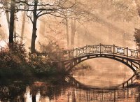Fototapete 3,5 x 2,55 M. Park Bridge 2