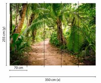 Fototapete 3,5 x 2,55 M. Palm Walk