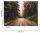 Fototapete 3,5 x 2,55 M. Road Trip