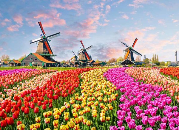 Fototapete 3,5 x 2,55 M. Zaanse Schans
