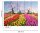 Fototapete 3,5 x 2,55 M. Zaanse Schans