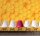 Fototapete 3,5 x 2,55 M. Honeycomb 2