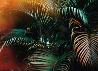 Fototapete 3,5 x 2,55 M. Jungle Colour