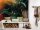 Fototapete 3,5 x 2,55 M. Jungle Colour