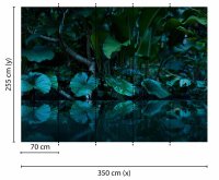 Fototapete 3,5 x 2,55 M. Tropical