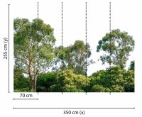 Fototapete 3,5 x 2,55 M. Treetop