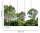 Fototapete 3,5 x 2,55 M. Treetop