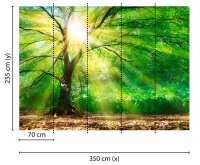 Fototapete 3,5 x 2,55 M. Forest Light