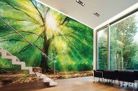 Fototapete 3,5 x 2,55 M. Forest Light