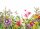 Fototapete 3,5 x 2,55 M. Motley Flowers