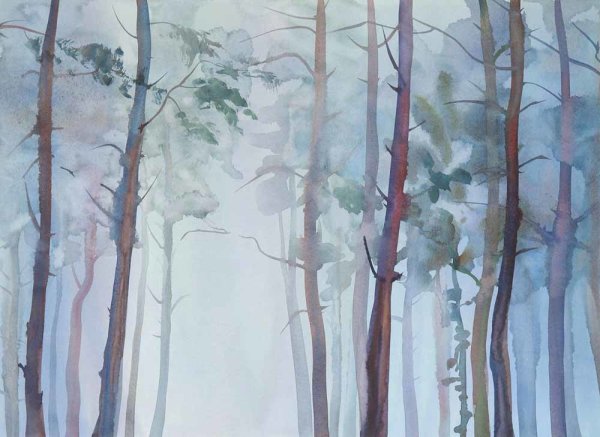 Fototapete 3,5 x 2,55 M. Aquarelle Fores