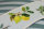Petite Fleur Bord&uuml;re Zitrone 5 x 0,13 M