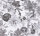 Dream Flowery A.S. Création Blumenoptik