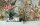 Dream Flowery A.S. Création Blumenoptik