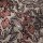 Floral Impression Architects Paper Blumentapete