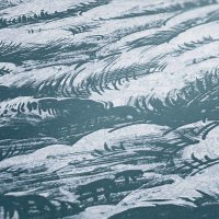 Jungle Chic Architects Paper Wolkentapete