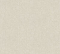 XL Vlies - Tapete 10,05x1,06 M  uni grau