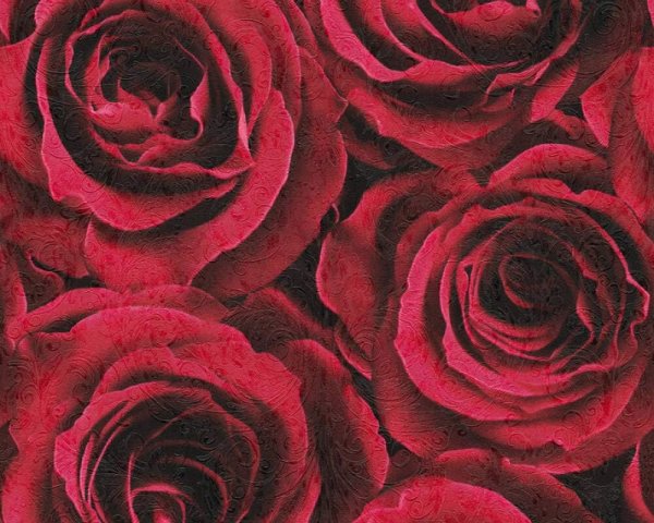 12 Rollen Vliestapeten Rosen Blumen Floral rot