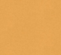 XL Vlies - Tapete 10,05x1,06 M  orangebraun glitzer