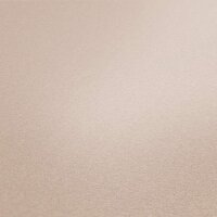 Vlioestapete Beige glatt leichter Glitzer