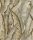 Perla Vlies - Tapeten Botanisch Blätter