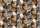 Tapeten Marimekko 06  KENTUNMARJA