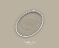 Wandfarbe The Color Kitchen Pumpkin Seed