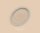 Wandfarbe The Color Kitchen Humble Hummus
