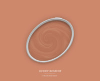 Wandfarbe The Color Kitchen Ruddy Rosehip