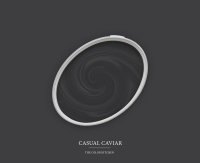 Wandfarbe The Color Kitchen Casual Caviar