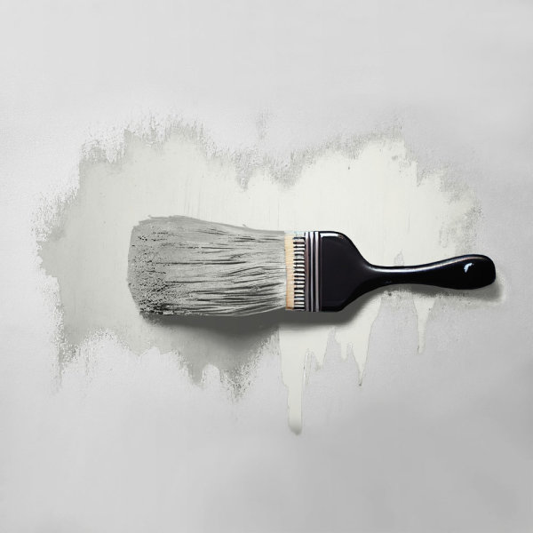 Wandfarbe The Color Kitchen Shady Sugar