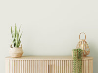 Wandfarbe The Color Kitchen Shady Sugar