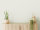 Wandfarbe The Color Kitchen Shady Sugar