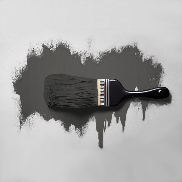 Wandfarbe The Color Kitchen Poppy Seed