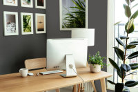 Wandfarbe The Color Kitchen Poppy Seed